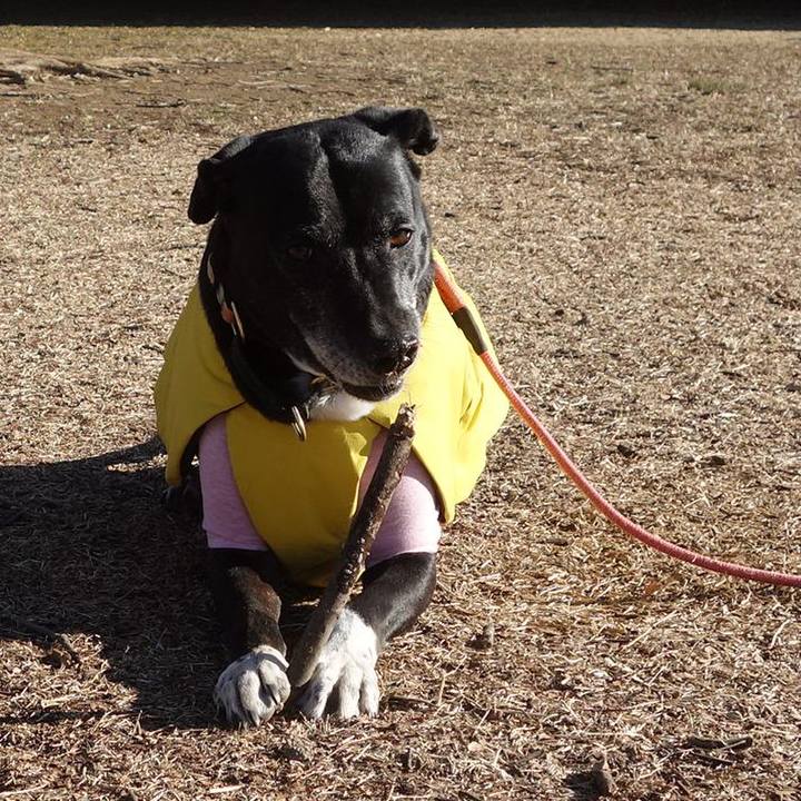 B8711974 69aa 459a 86f2 a9d3e55555d9 1740358762850