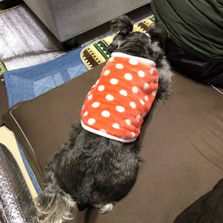 B8711ccb ca87 4916 b5d6 a5e64d459858 1705800138127