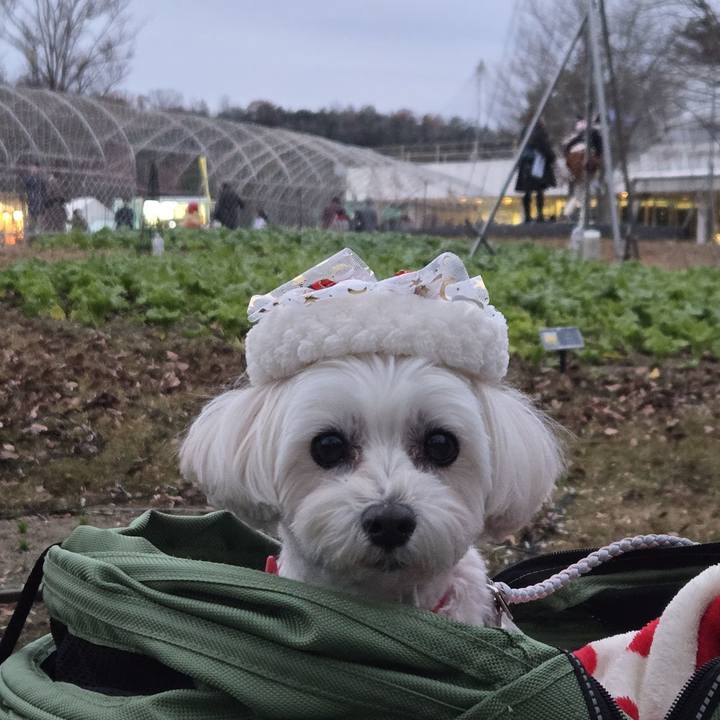 B8712949 110e 4383 bb90 6347079997f8 1765678726552