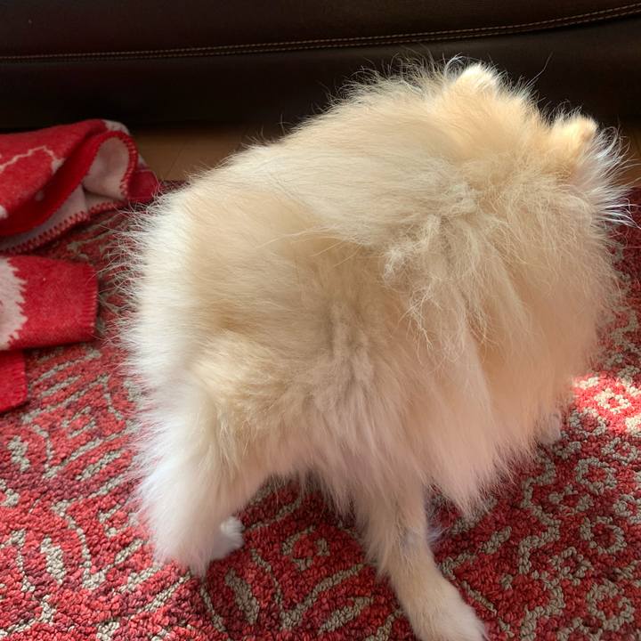 B87129ed 6a1f 4b41 8ee9 f13bb8ee3bb4 1582690428738