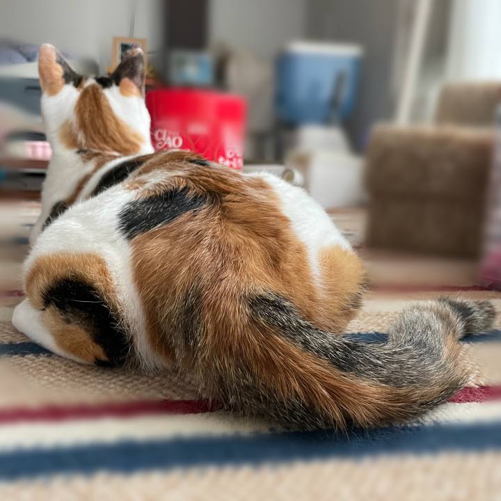 B8714f4b dc67 4cf8 aa8b f4cf43f4eafb 1661903258377