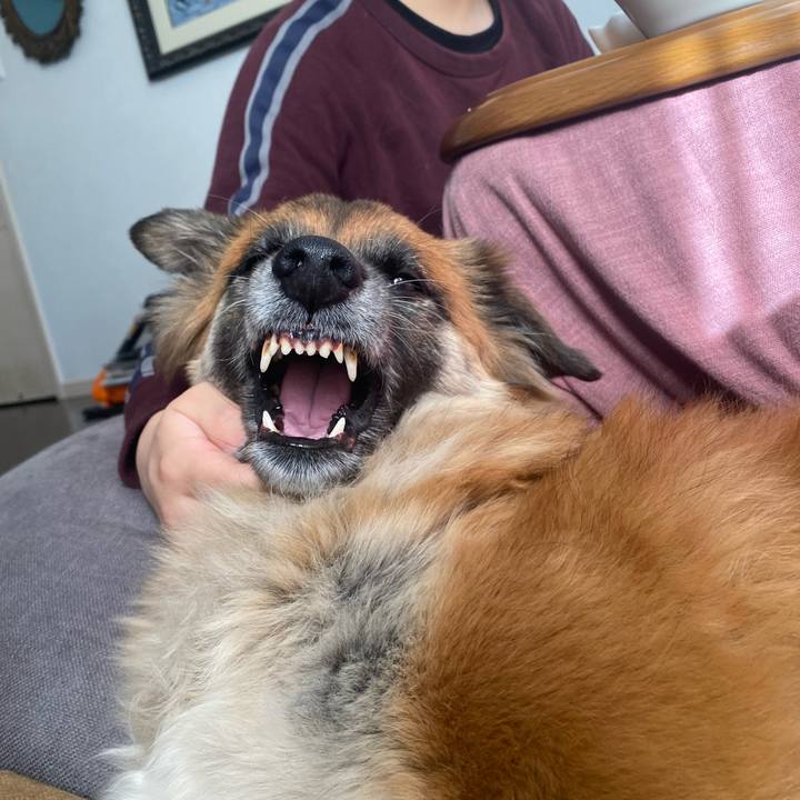 B8718c6c 8b74 4d2b 8d73 ea19cfc0770d 1768362555597