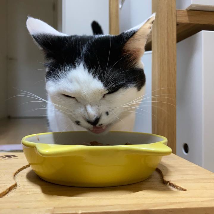 B871a6c6 37ec 4b6e a4d5 6be826325889 1759868522924