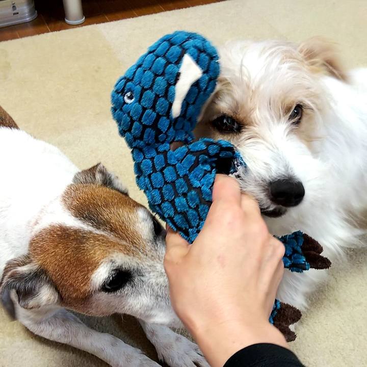 B871acfa 9ac1 467d 8437 4fd8d47fb6f7 1529408563226