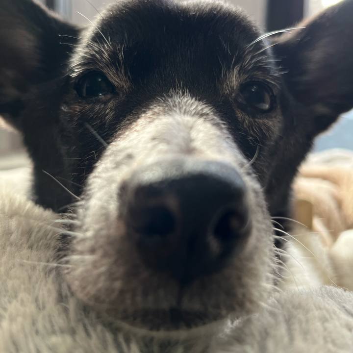 B871aec1 abe2 4926 ba56 d7faf675d150 1765251844044