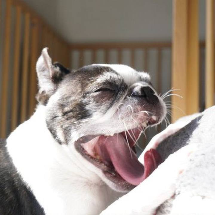 B871d100 02a3 4bd3 9b19 91a0d6ffb12e 1548572031482