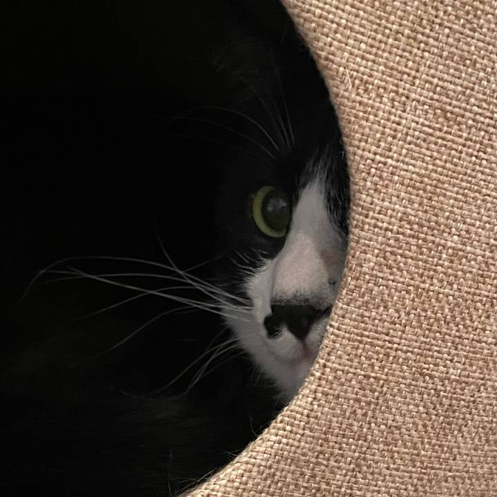 B871d2dc f529 4654 b165 ced096b058ae 1651396313086