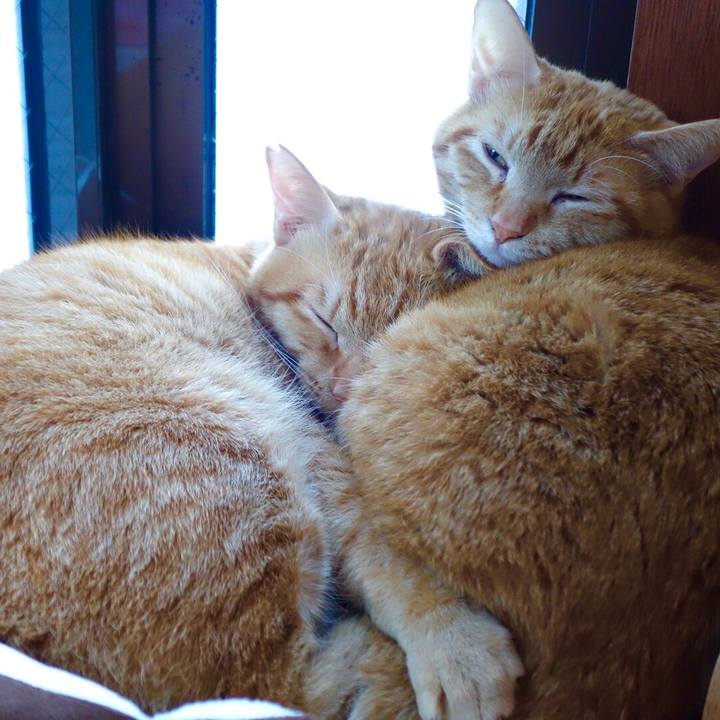 B871f998 de92 4c65 9c2e 6d47811f102a 1586854354750