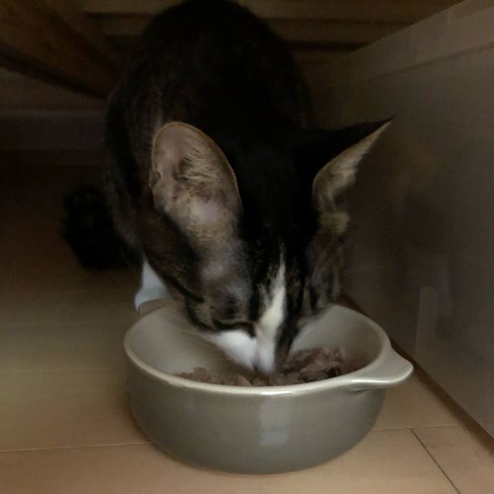 B8721d76 2d82 4248 a0cf c8bf78eece5e 1551385347383