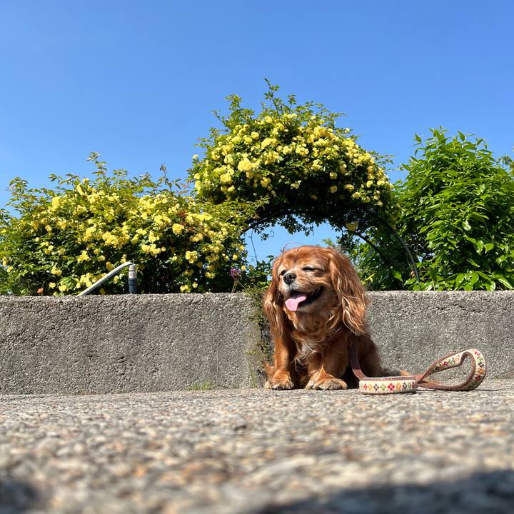 B872341f 8141 4bb0 a43c f83ad4dd6760 1745713017514