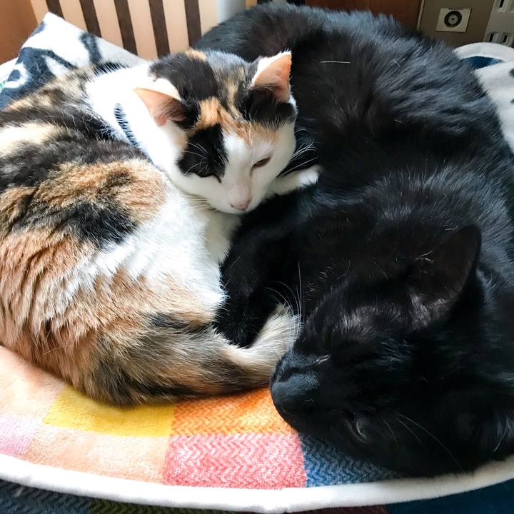 B8728738 8500 409d 9ddc deef48bd1a98 1522287522209