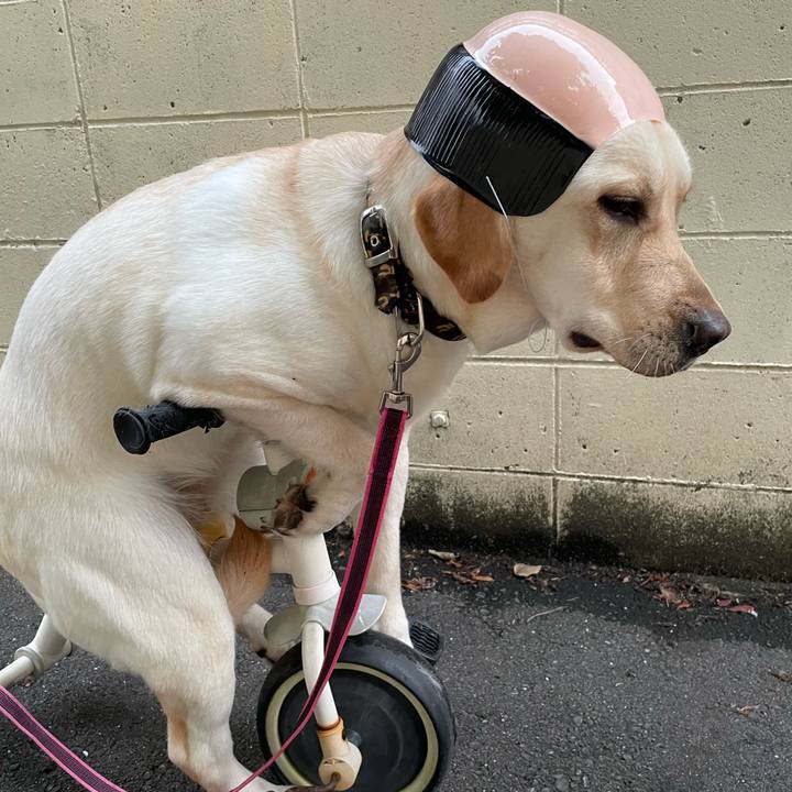 B8728787 0f77 4348 9e3d 3a00920f339b 1655290508179