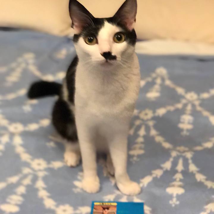 B872b2bb 5672 4f3f b542 f717022b75fd 1508674335252