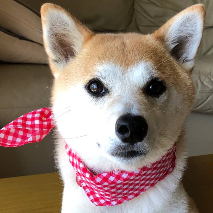 B872d732 210b 426f 9c1c 1471a9b00641 1532153175837