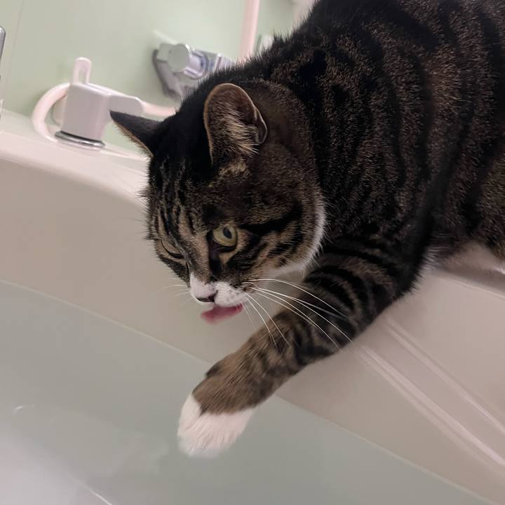 B872e428 b6e9 4f8b 9624 4409298bc531 1775778002352