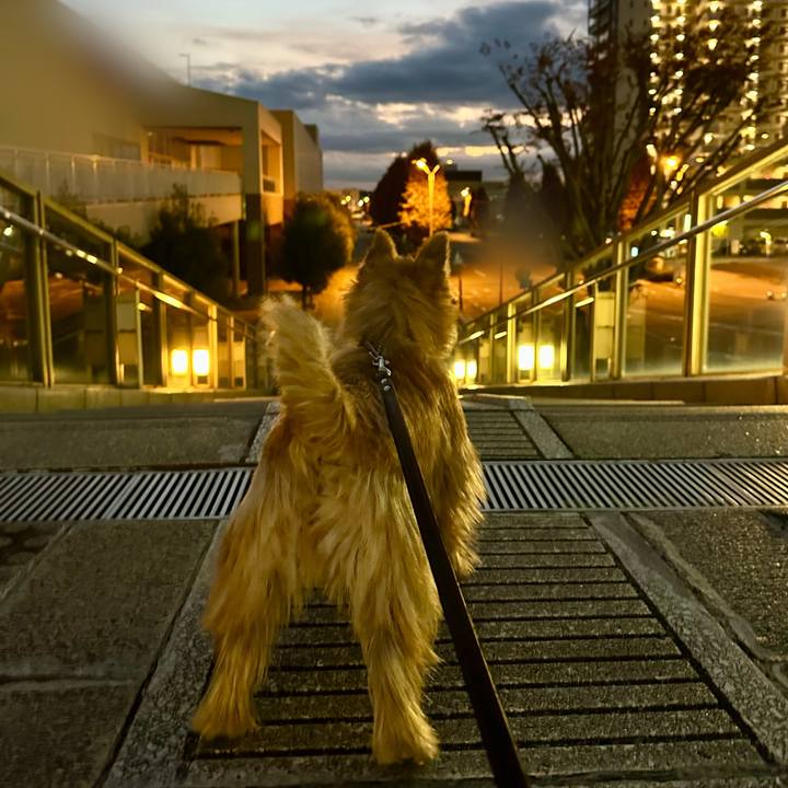 B872eb58 e851 4955 9fb5 6f99b6660185 1733403108837