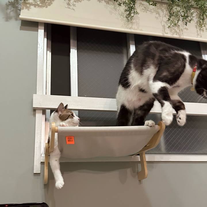 B872f82f b5ea 459a b565 01465c623d0e 1759320558648