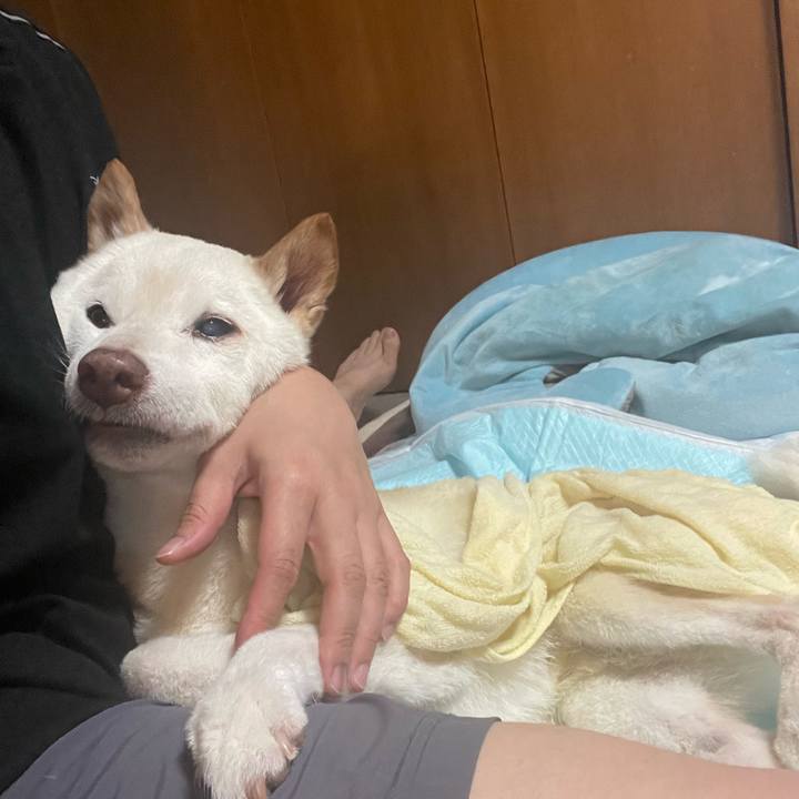 B8731667 dc93 47ba af1b 46a59347ed9f 1662547297315