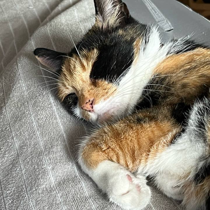 B87317bf a889 40eb 9a32 4032891c6629 1690591175902