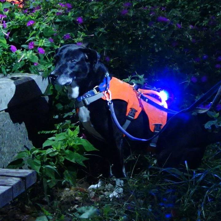 B8734823 5c78 44e0 898a 796e0c0dbb3b 1728297359279