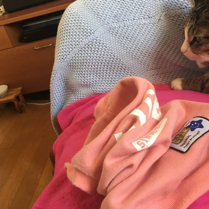 B873a01a 2a2a 4a9b b149 9dddf6afb573 1676761500307