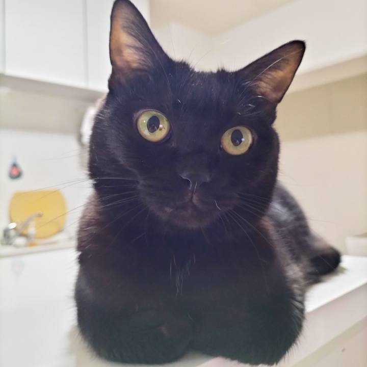 B873c87a e775 4d32 a909 9cccc80b0f77 1697542696723