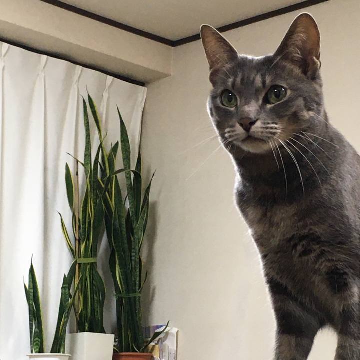 B873d54d e44d 4bf1 b11e b8332645aec7 1582363384930