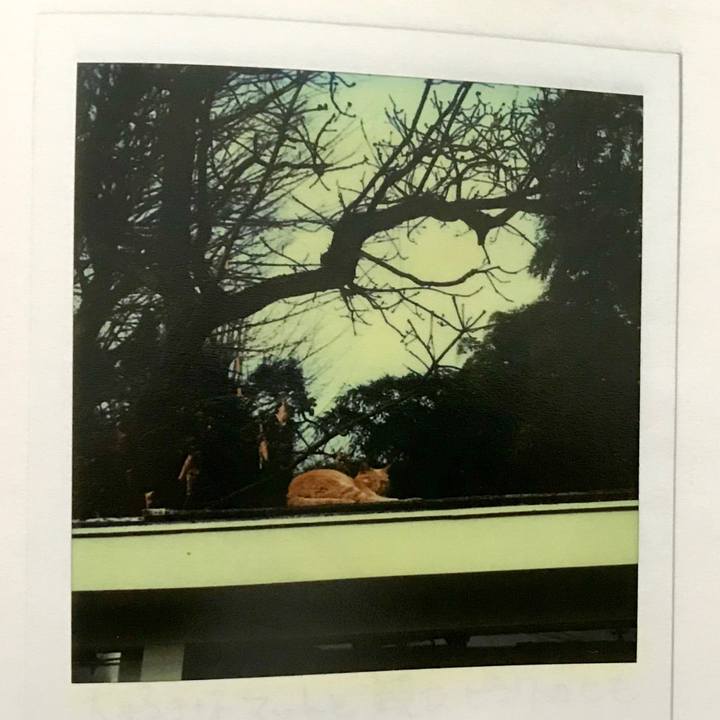 B873e74e f03e 42c2 a0e4 c934958e92c9 1562999478009