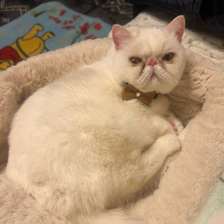 B8740c1a 6ea1 400a 9d82 11c2e915af3b 1771769728863