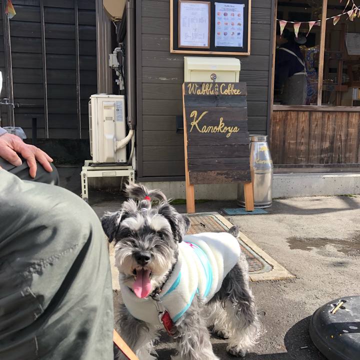 B8746a89 56cb 4157 9aca c217fe69fad6 1708429663789