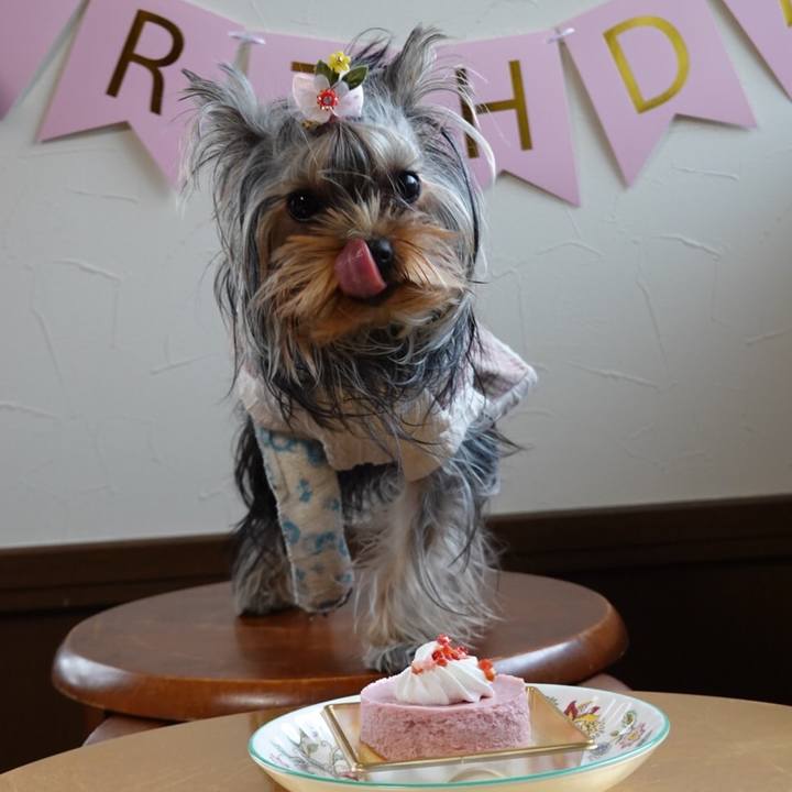 B8746edb 721f 4f4b be97 67a0b095af98 1637576581058