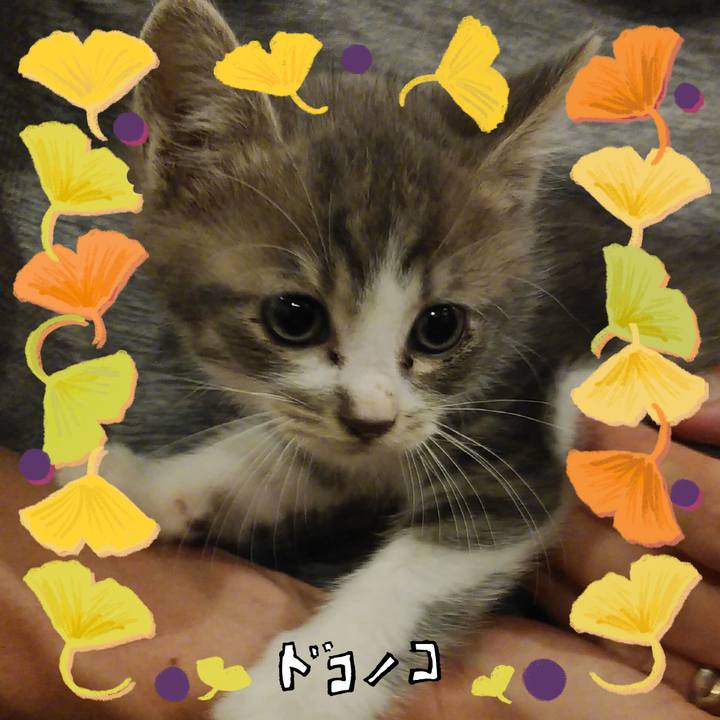 B8748797 0e5a 414d a710 af691c1763f8 1729481392372