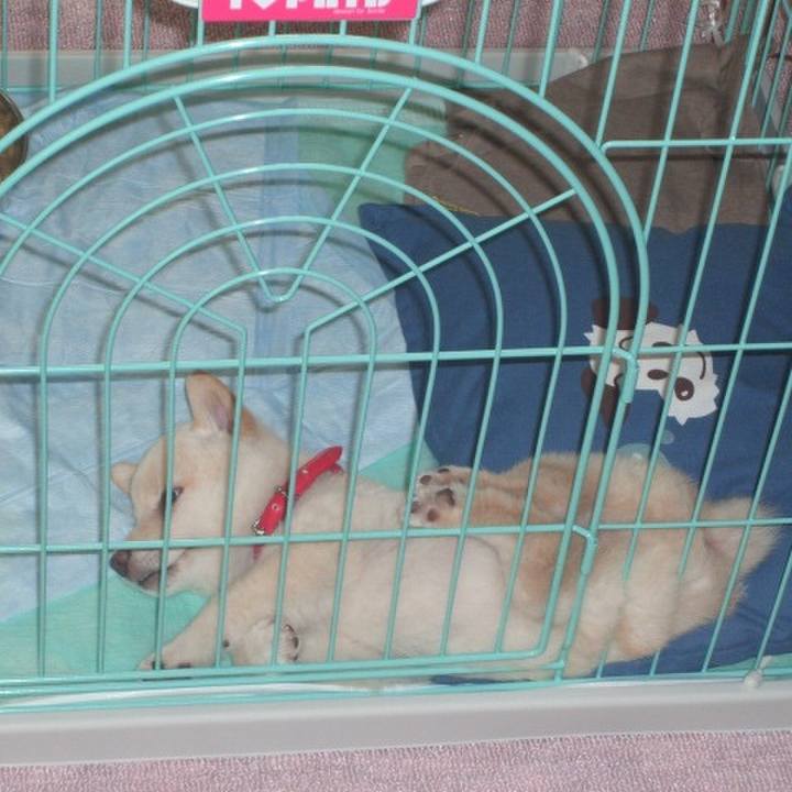 B8749f17 8dac 4ddb 9370 bf0dba019764 1639645680505