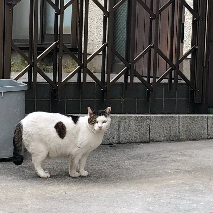 B874a069 188a 45a2 a3ad 80966a9f3bbd 1543829455279