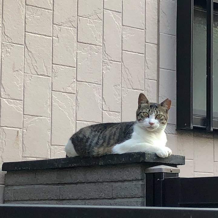 B874e8cd eb4c 4eaa bd14 54ec5c13b3bc 1531945413047