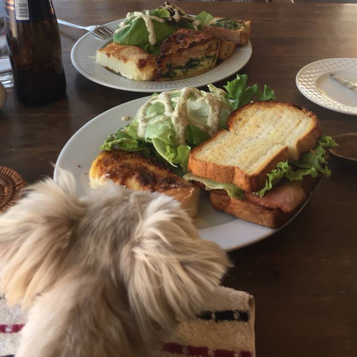 B874f4c0 baaf 447c a6f7 57ef8365e185 1514545061558