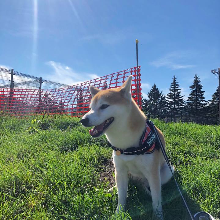 B874fc80 366c 4ef4 96fe 1ae6c87f8461 1600654475503