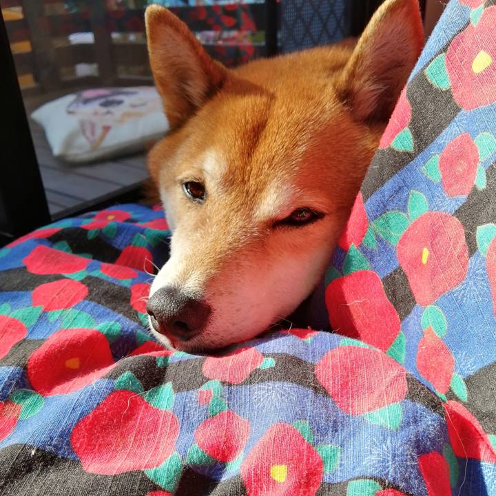 B8750eca 3586 4e90 80ad 822b1508c98b 1675929381855