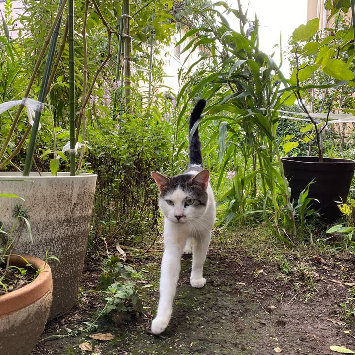 B8751241 7db2 4331 a3dc aaebc8ec3757 1599578651079