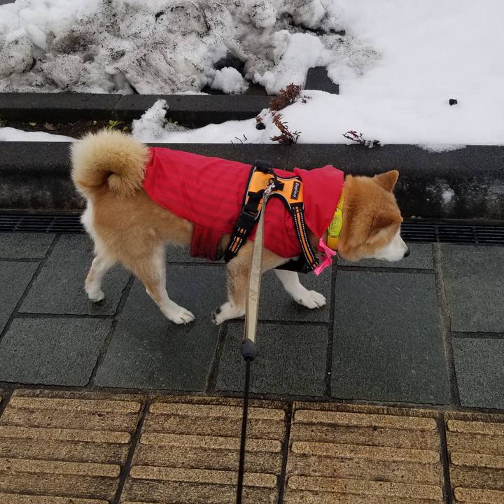 B8754948 b797 4d4b 9a1f d4b8b2701145 1676782389763