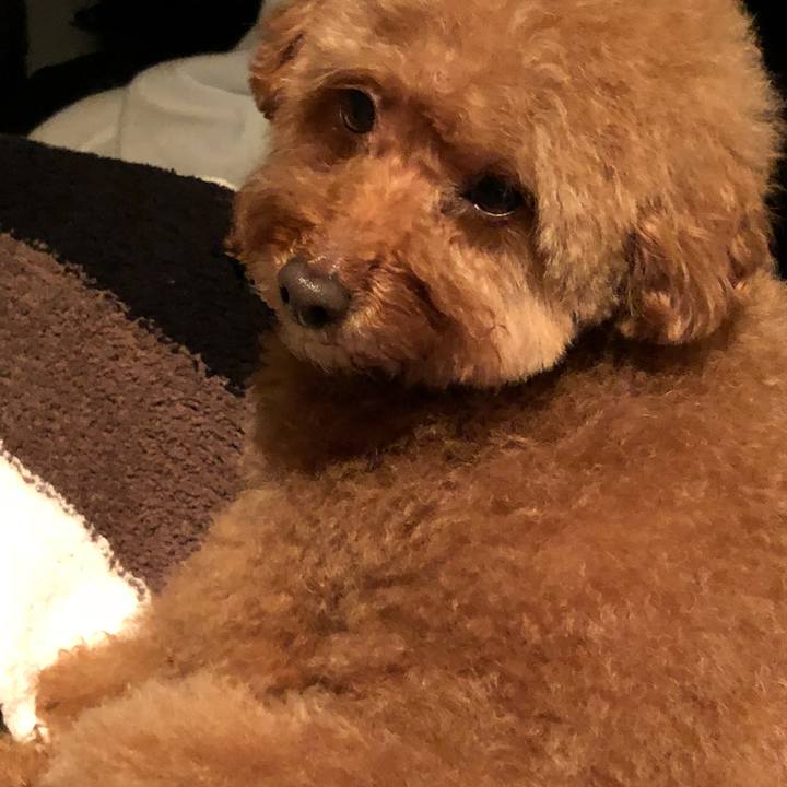 B87597ec 7243 4158 a024 059b37684d8e 1549428251883