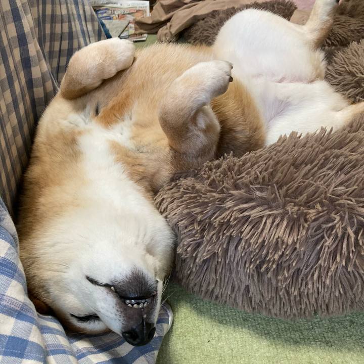 B875c679 2ff4 4ba5 82a3 18cadca28475 1681280120131