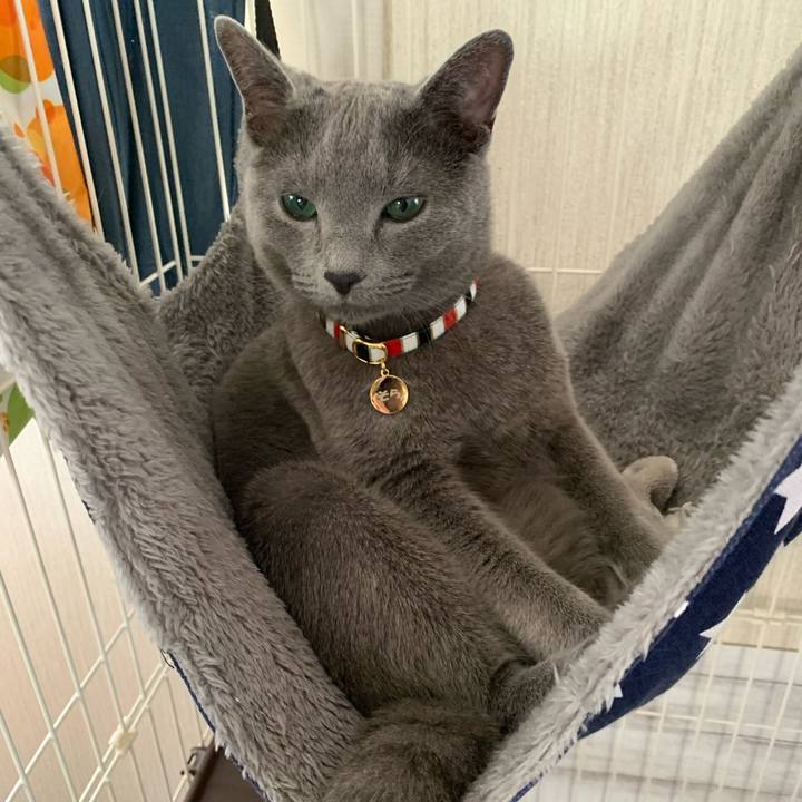 B875eca5 1d9b 4da3 8b65 bc347db13824 1588046112889