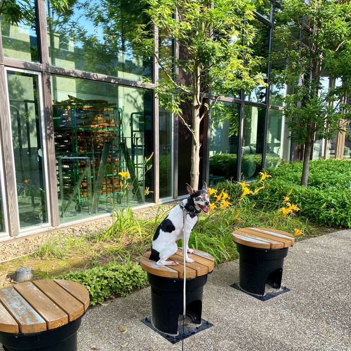 B8764a8d 1e46 4f99 b81c 28e4c7990c6f 1597012414398