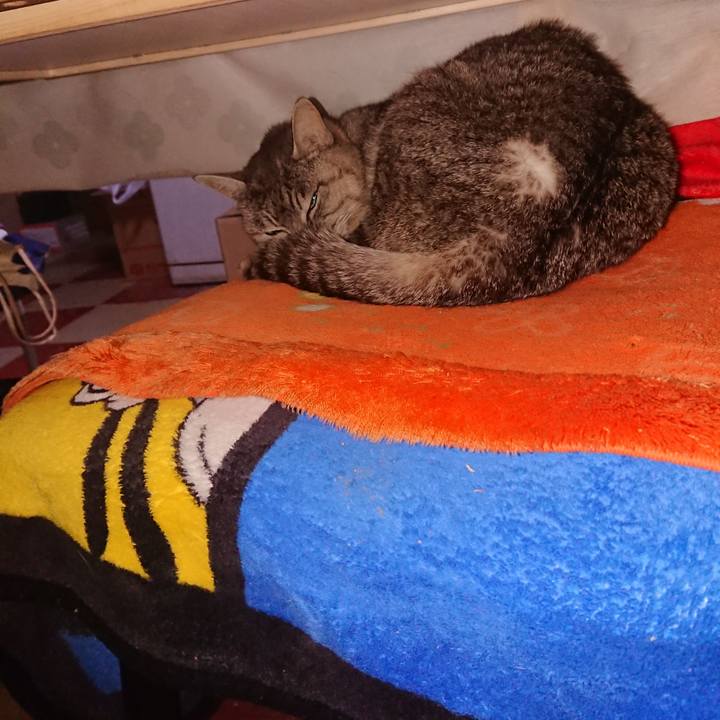 B8767187 4755 4e8f 9cce f3639565d169 1556309431259