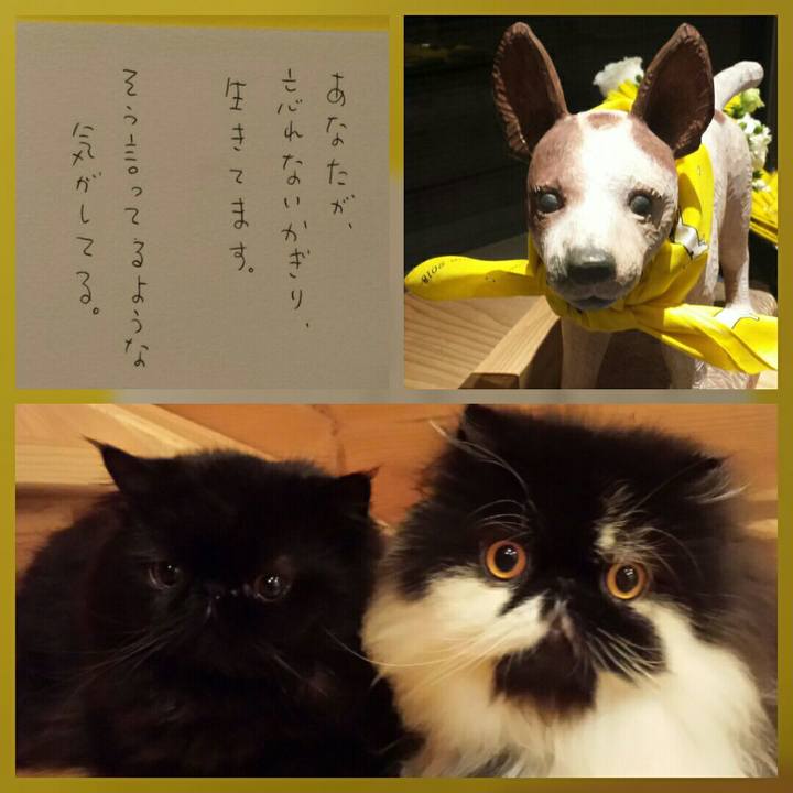 B8767479 6123 4e19 b305 66ae0321b9f8 1524318379230