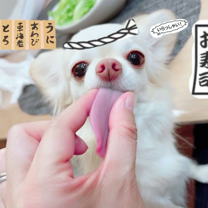 B8769cca b6af 46e2 9650 a431a51c4db7 1711547737967