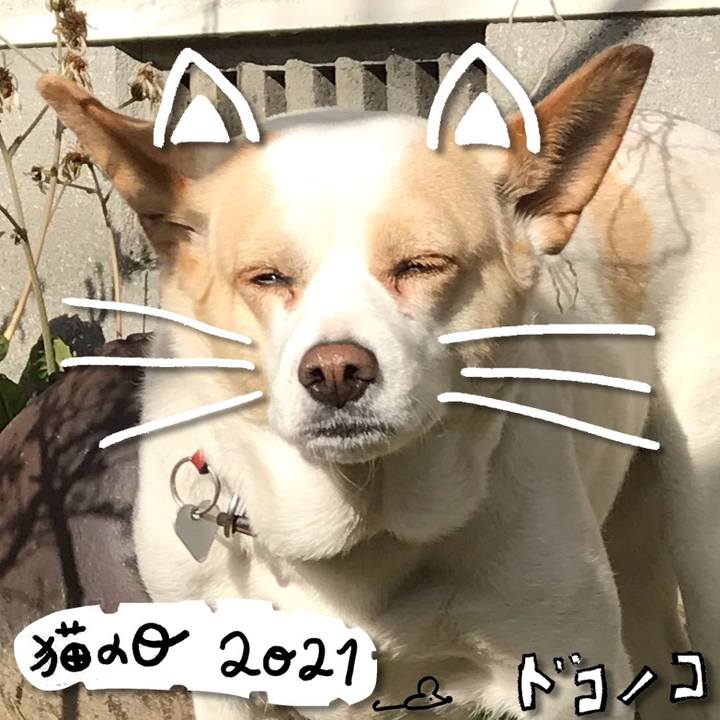 B876aceb 5264 41ac a6d9 088cb2ca8c98 1614012043283