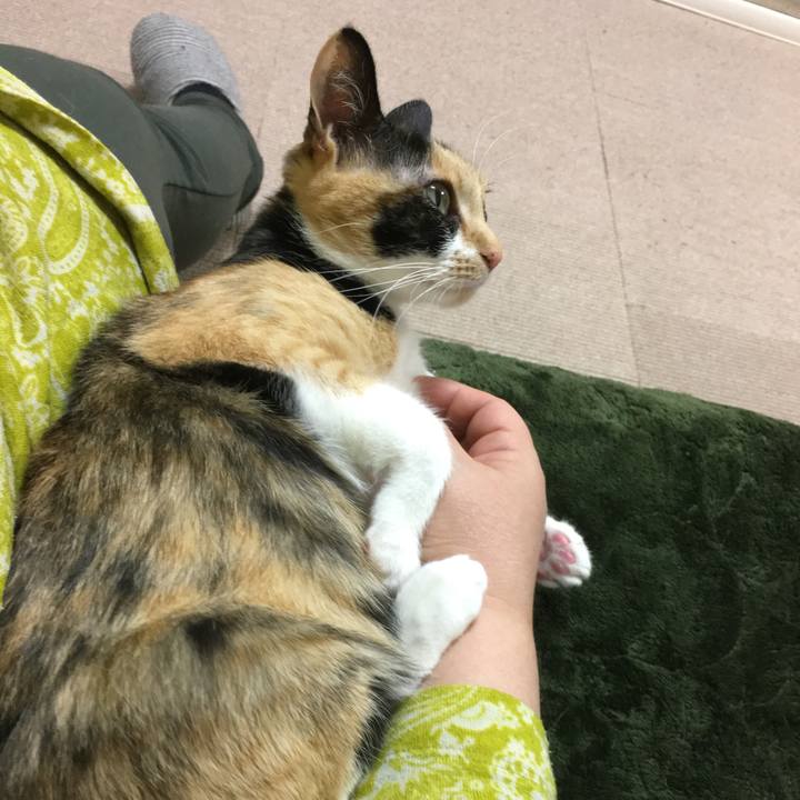 B8772bd2 9a55 487c a95d 9cc5e95a232f 1519480446805