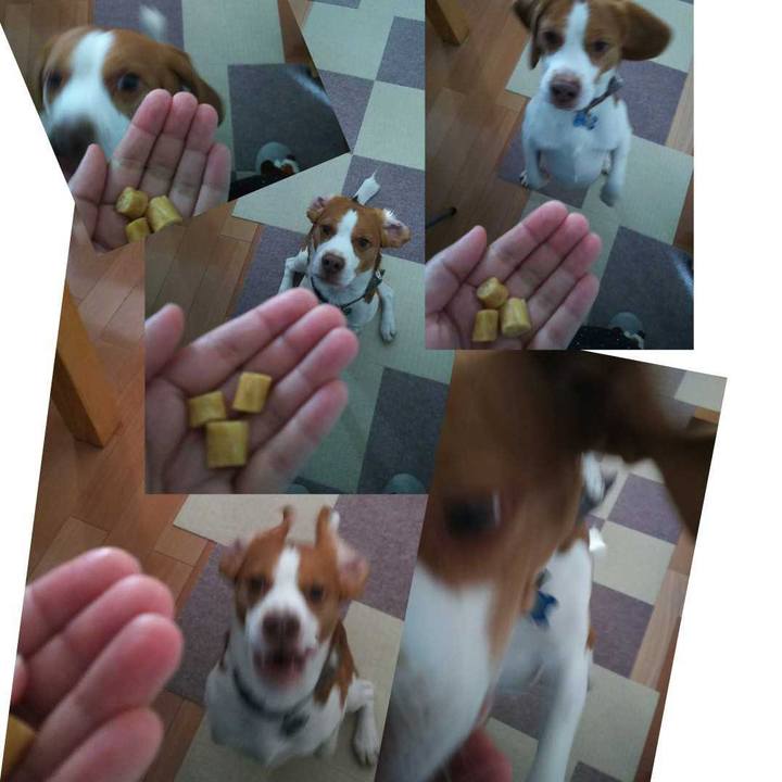 B8772fa7 5d71 4d30 bfa7 031cf9794948 1577512314997